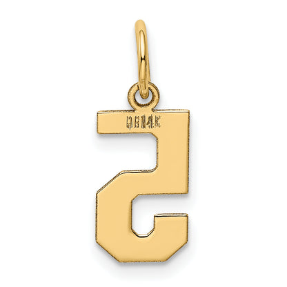 14k Yellow Gold 14k Small Polished Number 5 Charm