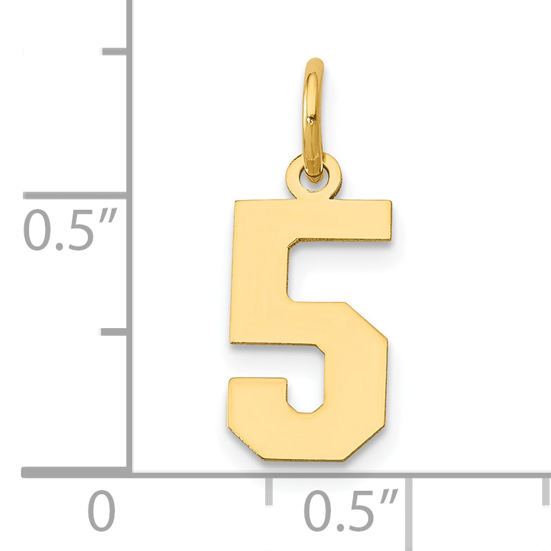 14k Yellow Gold 14k Small Polished Number 5 Charm