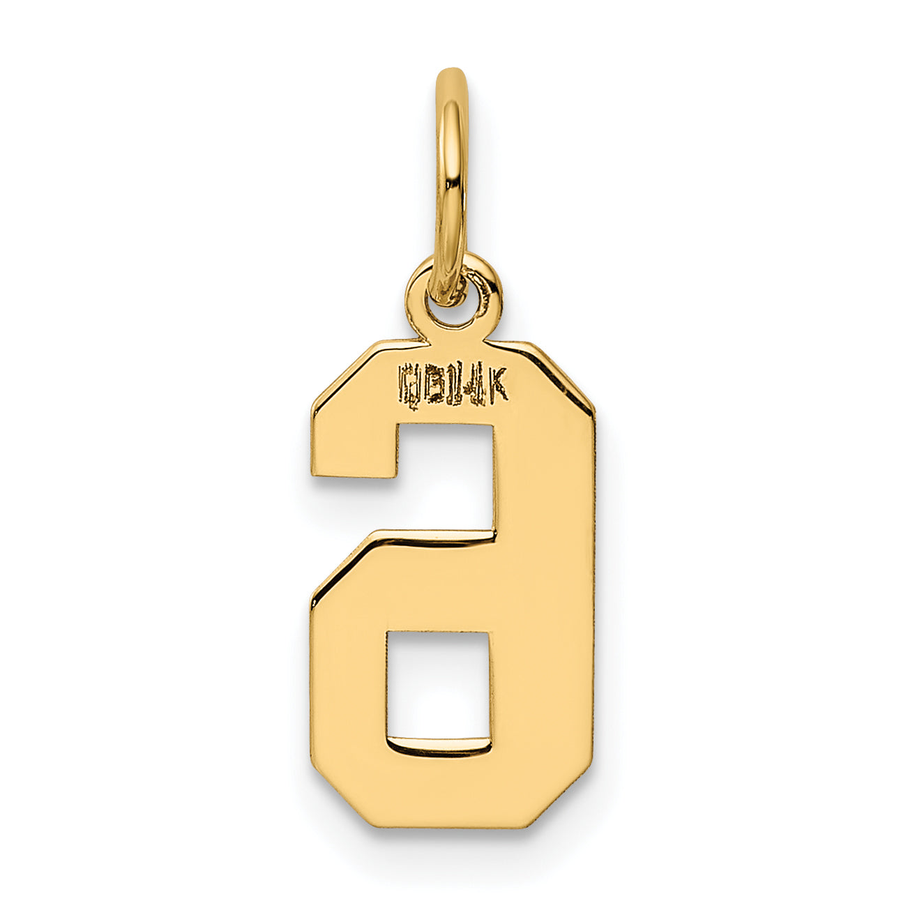 14k Yellow Gold 14k Small Polished Number 6 Charm