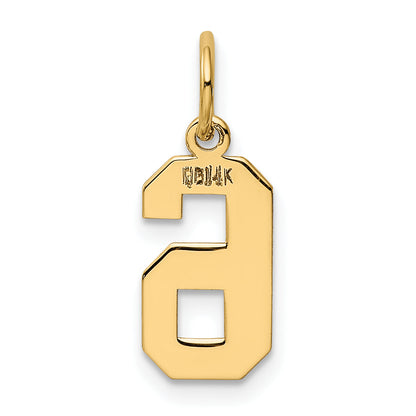 14k Yellow Gold 14k Small Polished Number 6 Charm