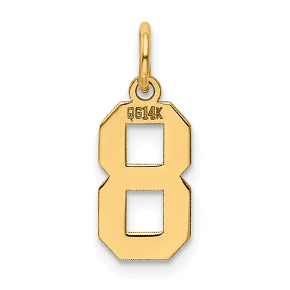 14k Yellow Gold 14k Small Polished Number 8 Charm