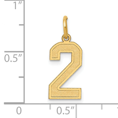 14k Yellow Gold 14k Medium Satin Number 2 Charm