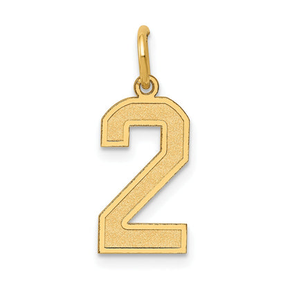 14k Yellow Gold 14k Medium Satin Number 2 Charm