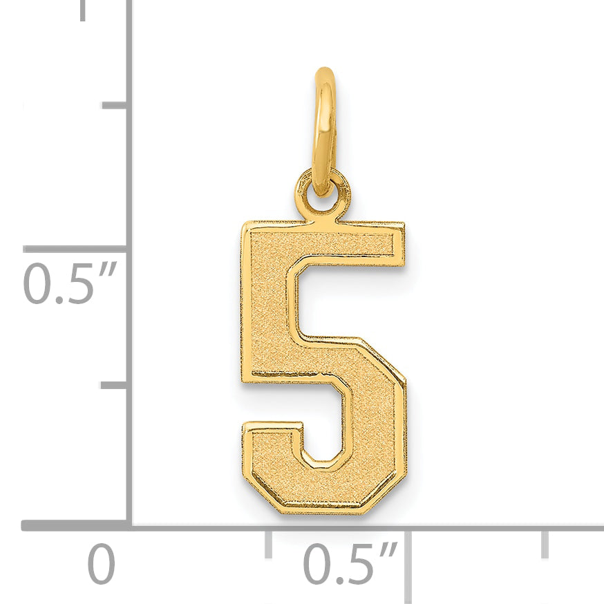 14k Yellow Gold 14k Medium Satin Number 5 Charm