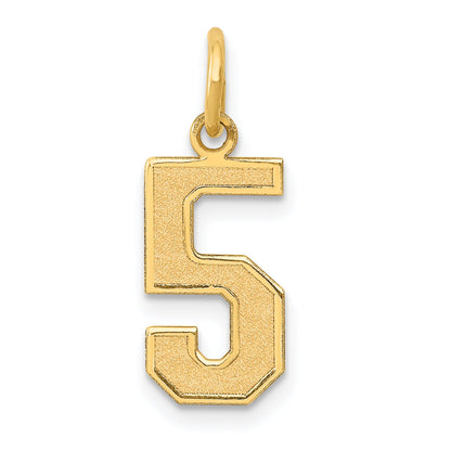 14k Yellow Gold 14k Medium Satin Number 5 Charm