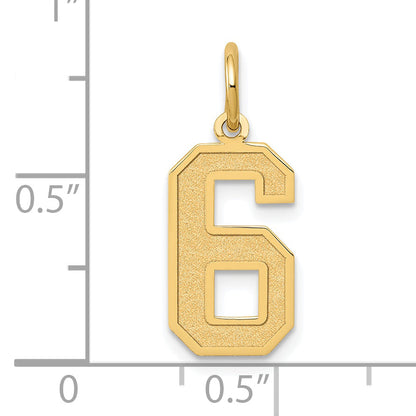 14k Yellow Gold 14k Medium Satin Number 6 Charm