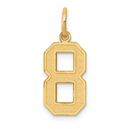 14k Yellow Gold 14k Medium Satin Number 8 Charm