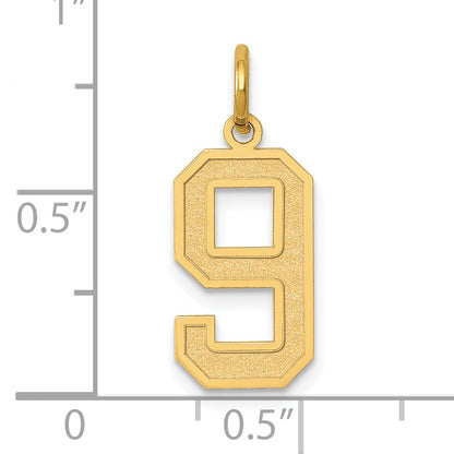 14k Yellow Gold 14k Medium Satin Number 9 Charm