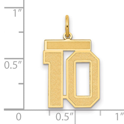 14k Yellow Gold 14k Medium Satin Number 10 Charm