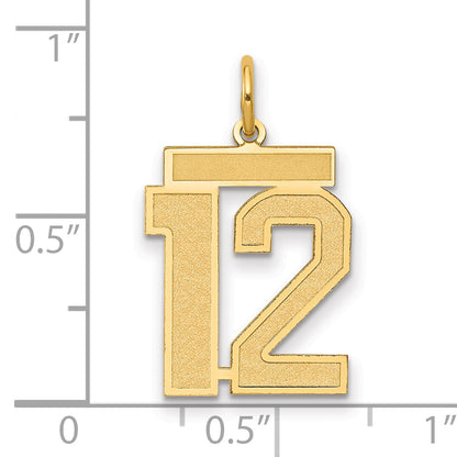 14k Yellow Gold 14k Medium Satin Number 12 Charm