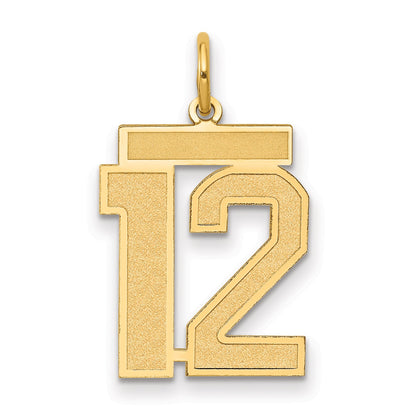 14k Yellow Gold 14k Medium Satin Number 12 Charm