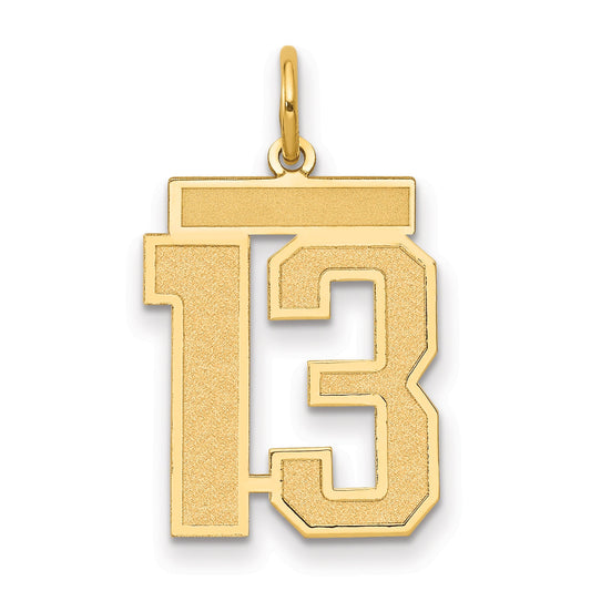 14k Yellow Gold 14k Medium Satin Number 13 Charm