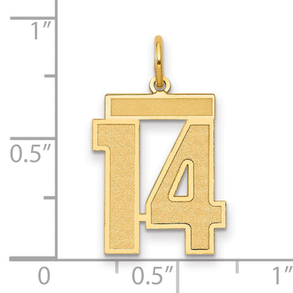 14K Yellow Gold Medium Satin Number 14 Charm