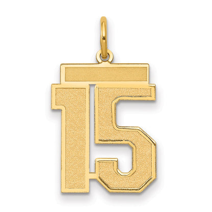 14k Yellow Gold 14k Medium Satin Number 15 Charm