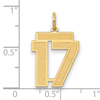 14K Yellow Gold Medium Satin Number 17 Charm