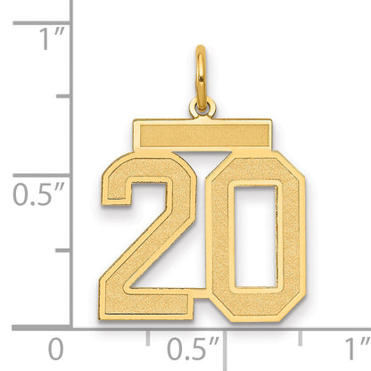 14k Yellow Gold 14k Medium Satin Number 20 Charm