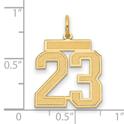 14k Yellow Gold 14k Medium Satin Number 23 Charm