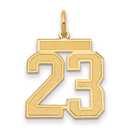 10K Yellow Gold Medium Satin Number 23 Charm