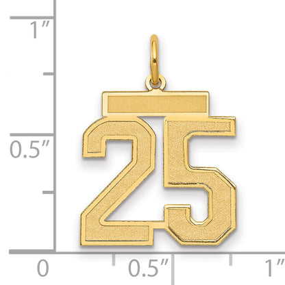 14K Yellow Gold Medium Satin Number 25 Charm