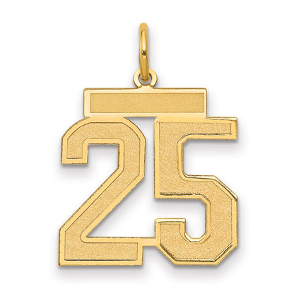 14K Yellow Gold Medium Satin Number 25 Charm