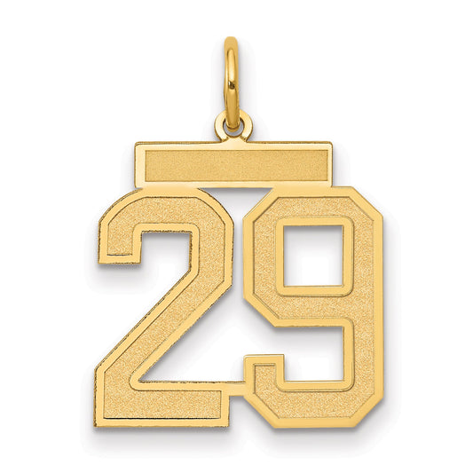 14K Yellow Gold Medium Satin Number 29 Charm