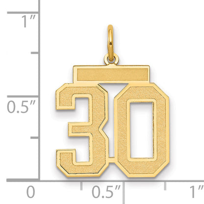 14K Yellow Gold Medium Satin Number 30 Charm
