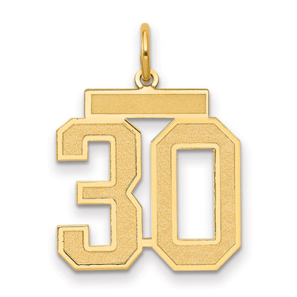 14K Yellow Gold Medium Satin Number 30 Charm