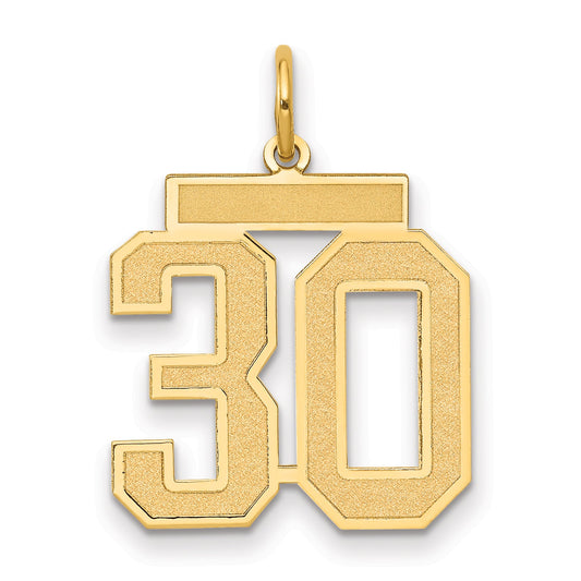 14K Yellow Gold Medium Satin Number 30 Charm