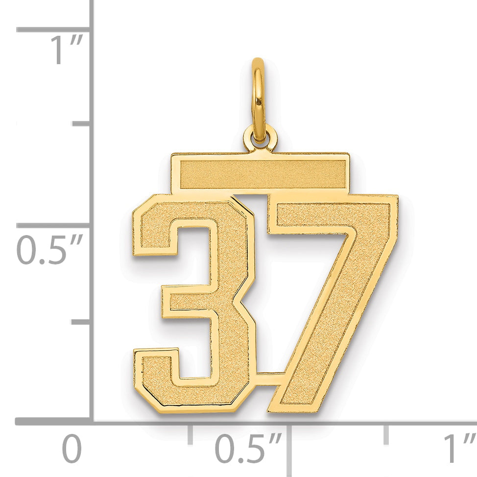 14K Yellow Gold Medium Satin Number 37 Charm