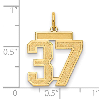 14K Yellow Gold Medium Satin Number 37 Charm