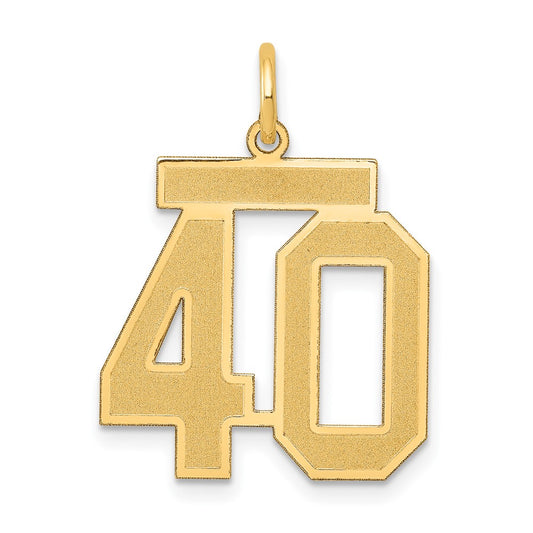 14K Yellow Gold Medium Satin Number 40 Charm