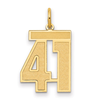 10K Yellow Gold Medium Satin Number 41 Charm