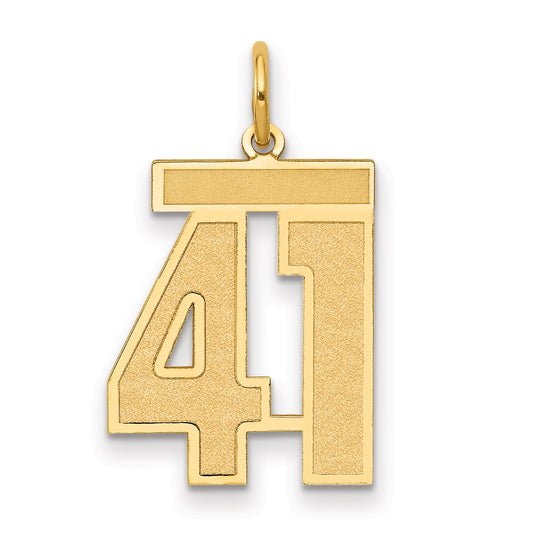 10K Yellow Gold Medium Satin Number 41 Charm