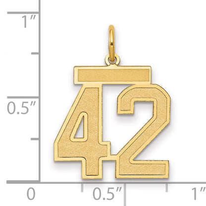14K Yellow Gold Medium Satin Number 42 Charm