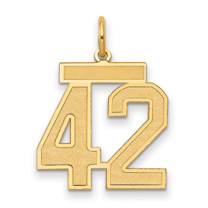 14K Yellow Gold Medium Satin Number 42 Charm