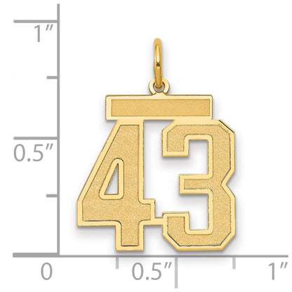 14K Yellow Gold Medium Satin Number 43 Charm