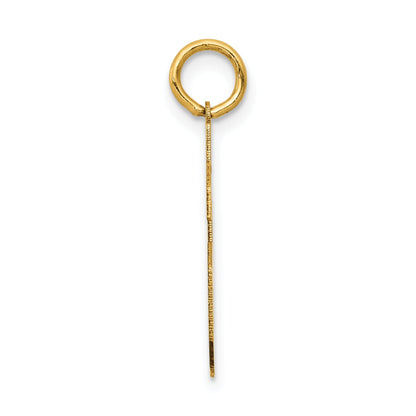 14k Yellow Gold 14k Medium Satin Number 46 Charm