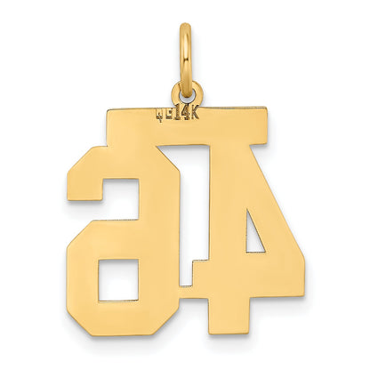 14k Yellow Gold 14k Medium Satin Number 46 Charm