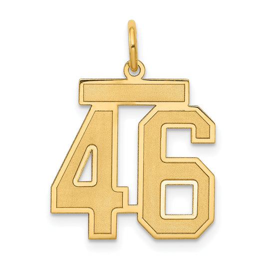 14k Yellow Gold 14k Medium Satin Number 46 Charm