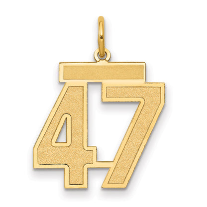 14K Yellow Gold Medium Satin Number 47 Charm