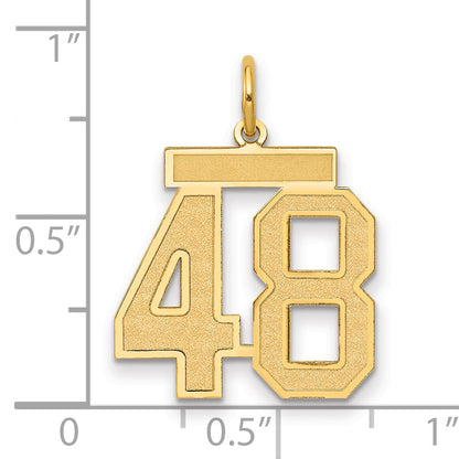 14K Yellow Gold Medium Satin Number 48 Charm