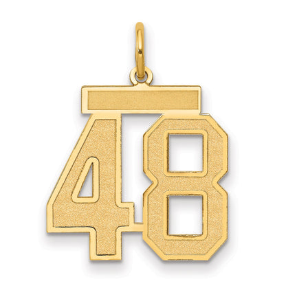 14K Yellow Gold Medium Satin Number 48 Charm