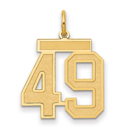 14K Yellow Gold Medium Satin Number 49 Charm
