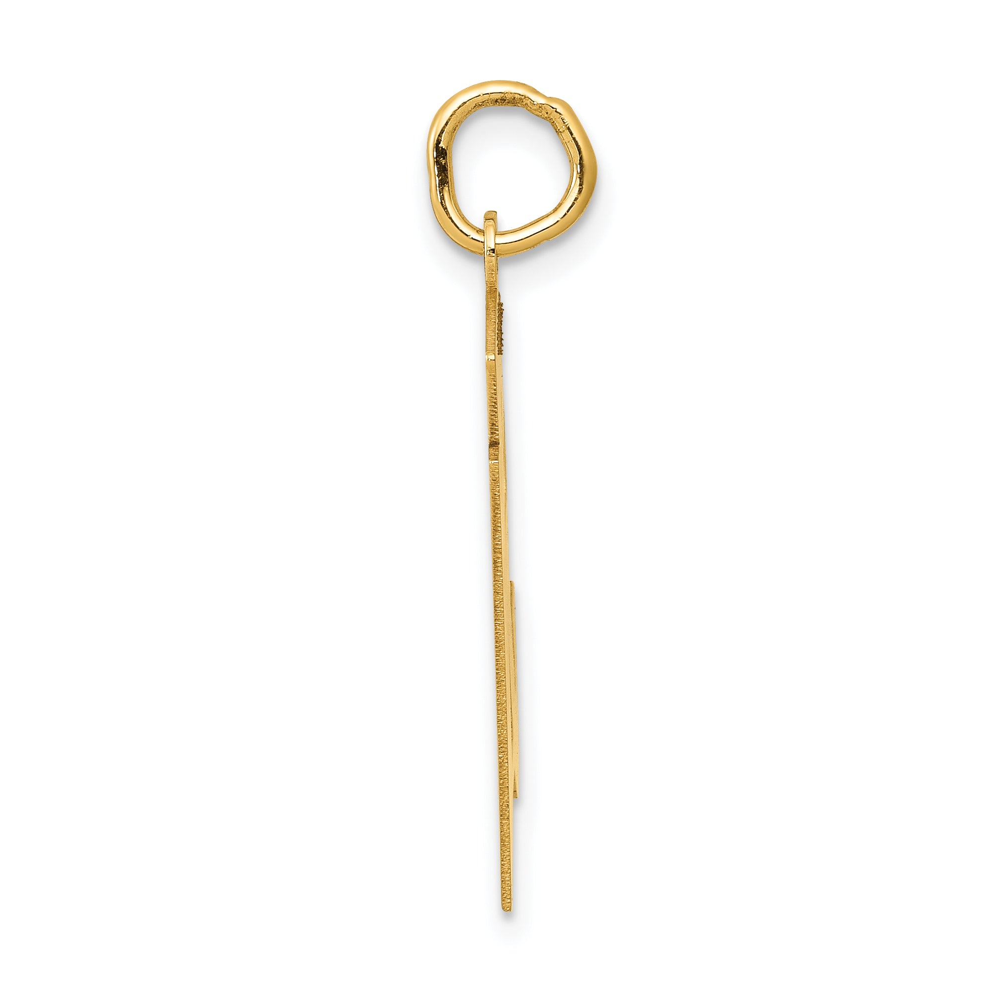 14K Yellow Gold Medium Satin Number 51 Charm