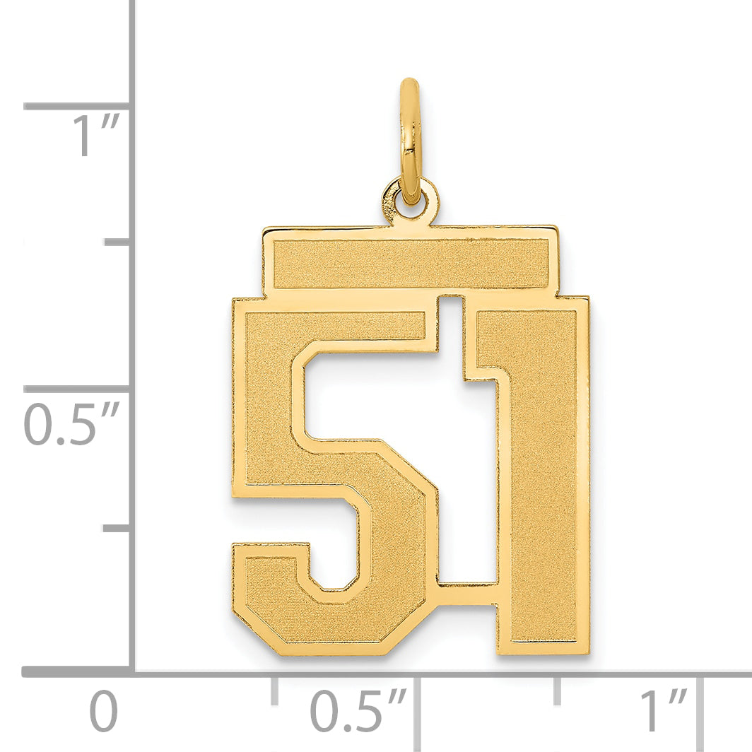14K Yellow Gold Medium Satin Number 51 Charm