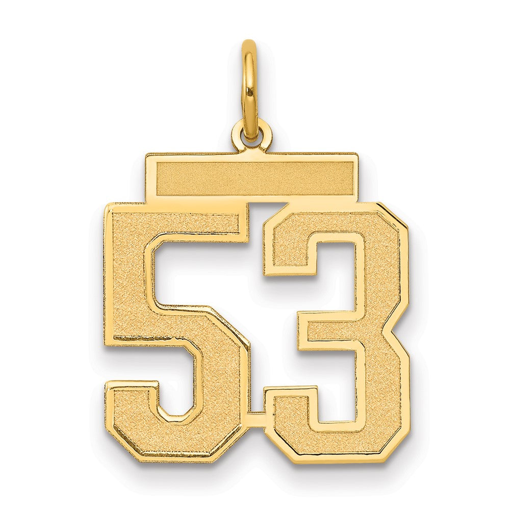 14K Yellow Gold Medium Satin Number 53 Charm