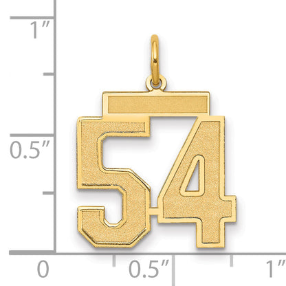 14K Yellow Gold Medium Satin Number 54 Charm