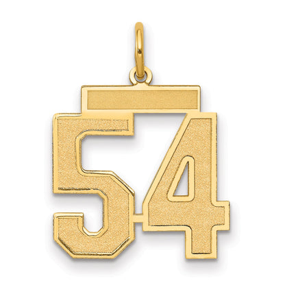14K Yellow Gold Medium Satin Number 54 Charm