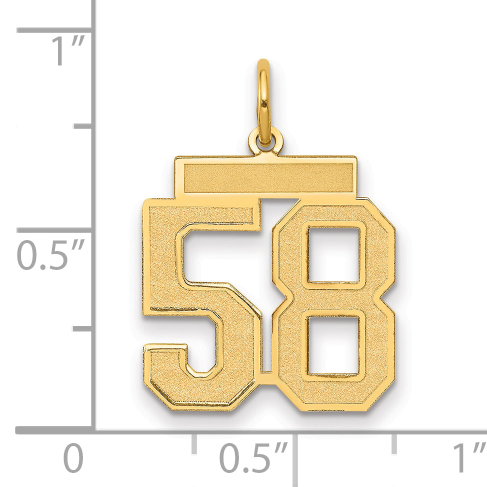 14K Yellow Gold Medium Satin Number 58 Charm