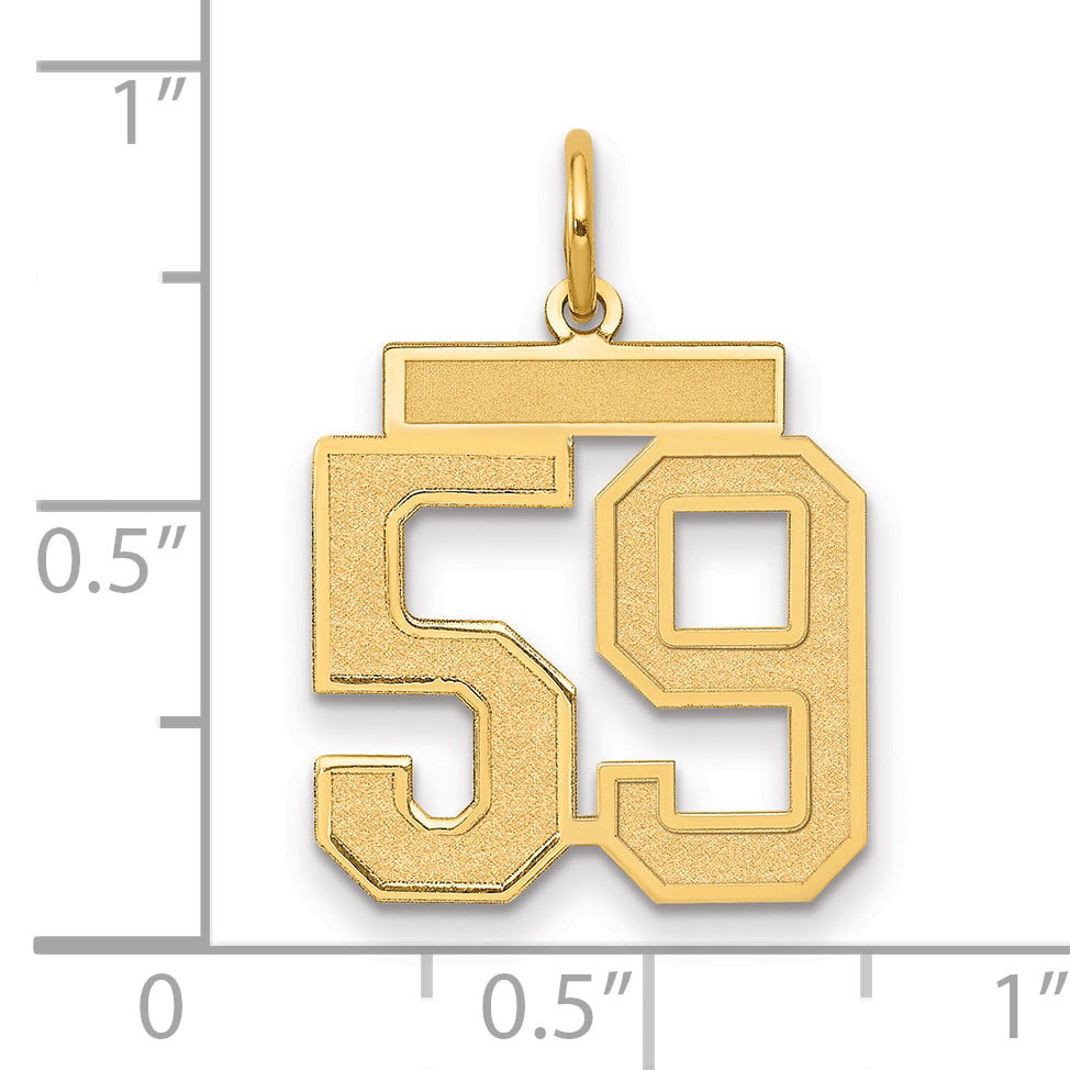 14K Yellow Gold Medium Satin Number 59 Charm
